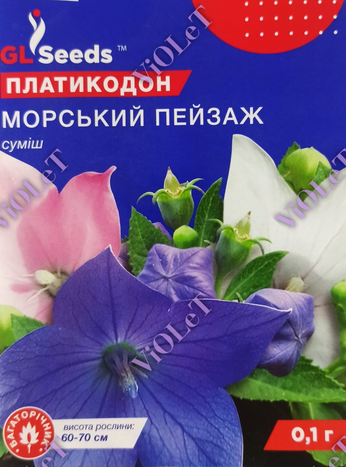 Платикодон Морський Пейзаж суміш, 0,1 г GL Seeds