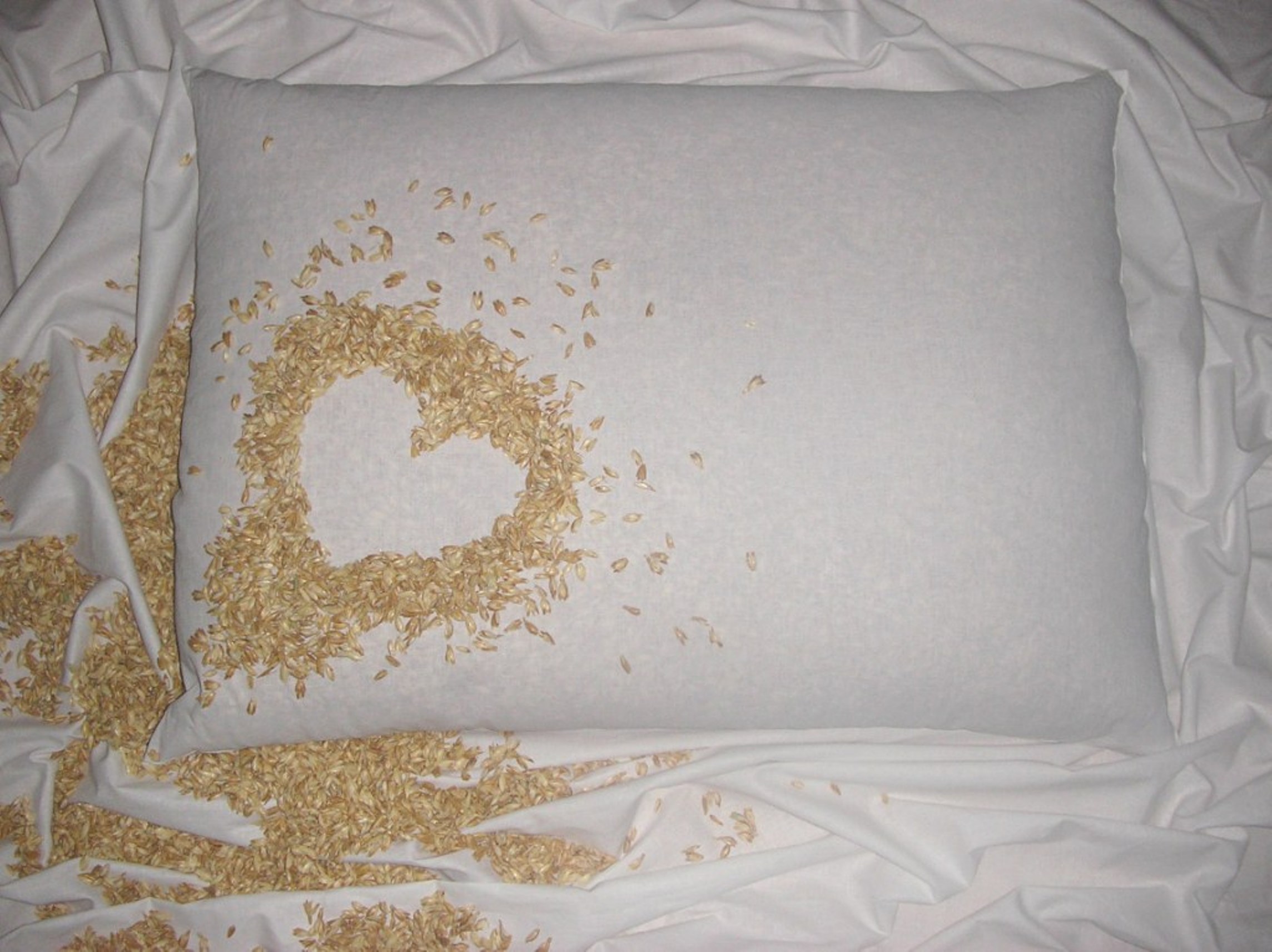 Špaldový vankúš 50x70cm