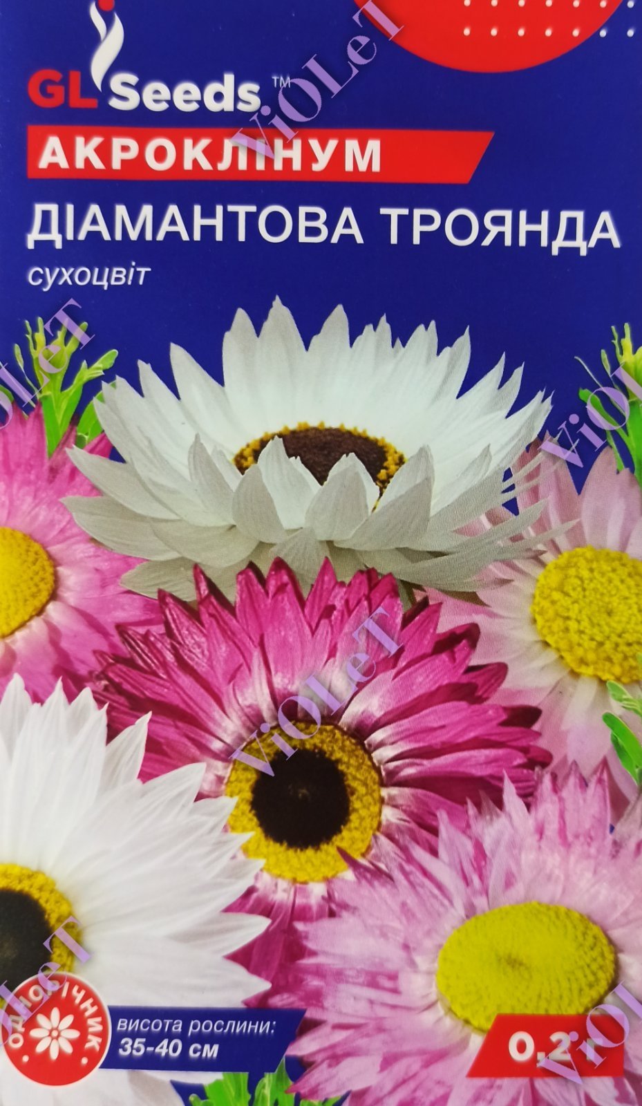 Акроклінум Діамантова Троянда, 0,2 г GL Seeds