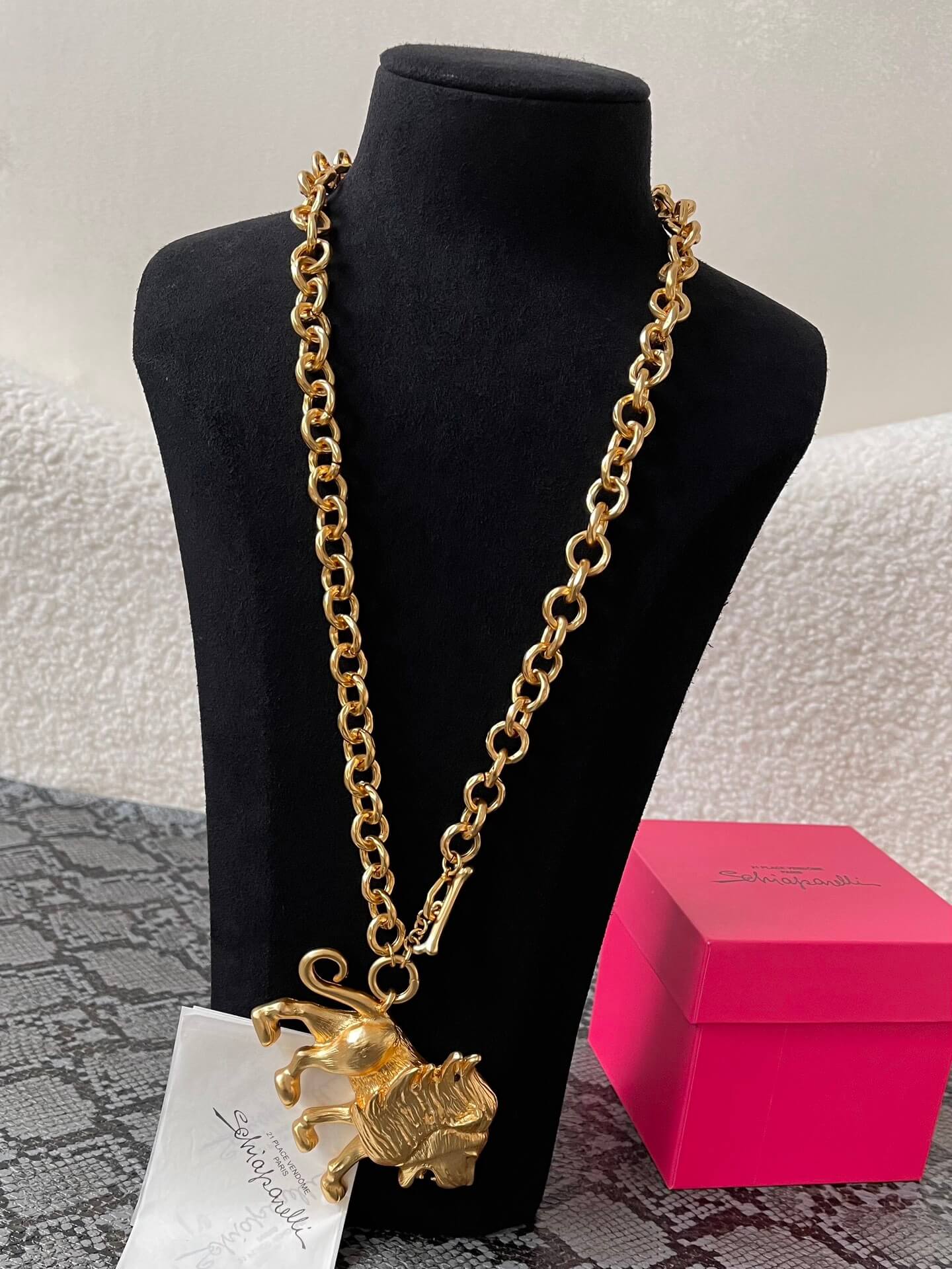 Schiaparelli підвіска