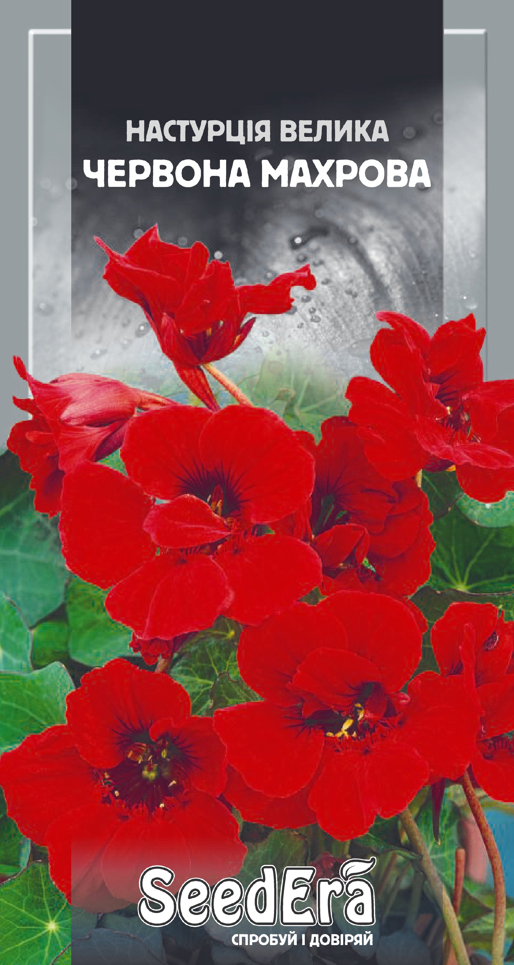 Насіння Квіти Настурція велика Червона махрова, 1,5 г