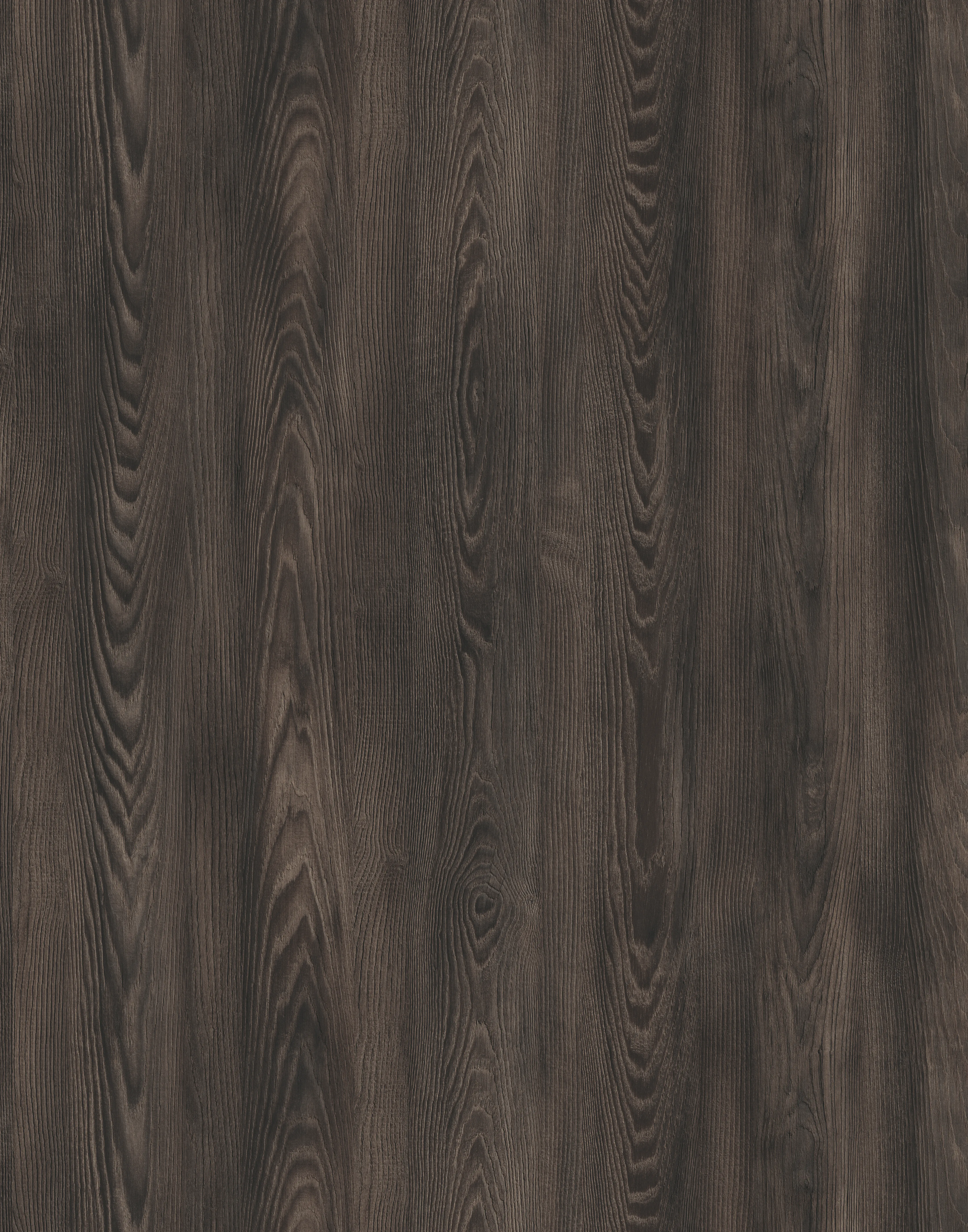 Каштан Арвадонна Мінк