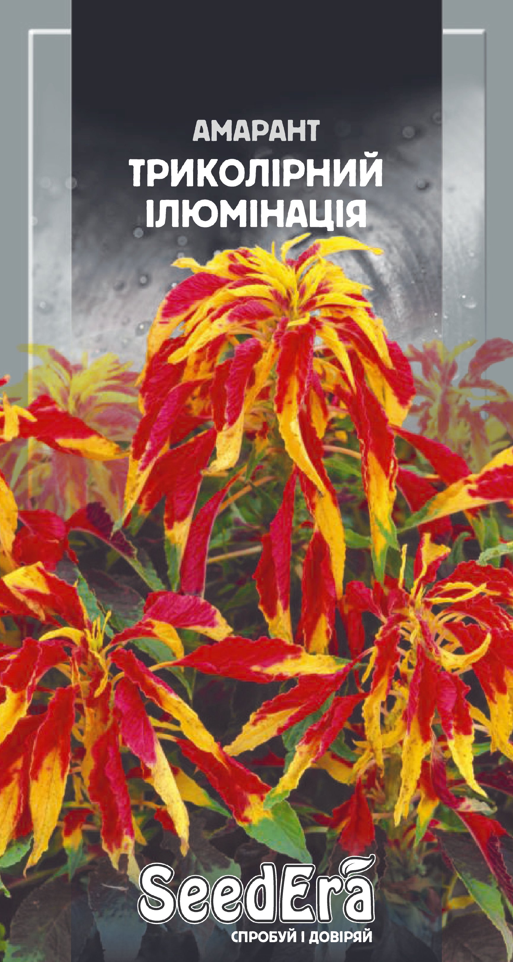 Насіння Квіти Амарант триколір Ілюмінація, 0,3 г.