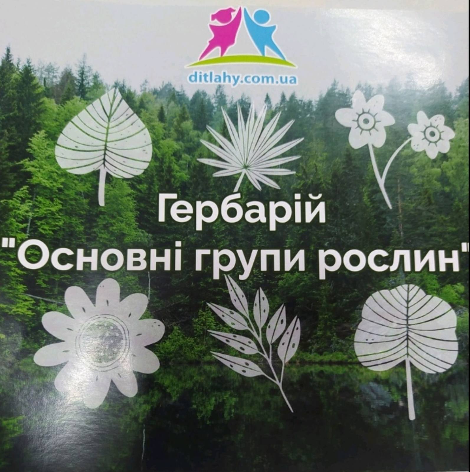 Гербарій "Основні групи рослин".