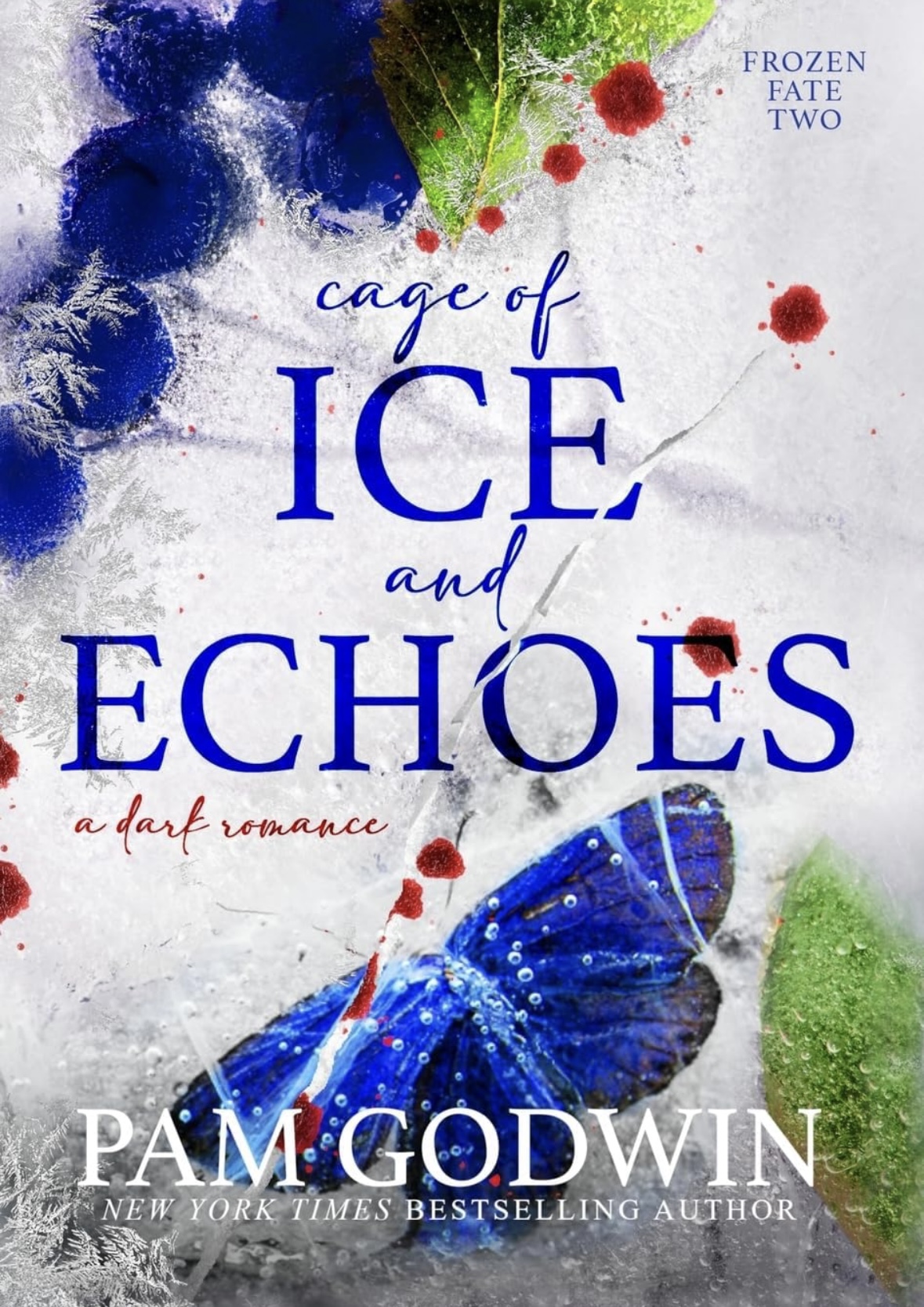 Cage of Ice and Echoes (Frozen Fate) Pam Godwin