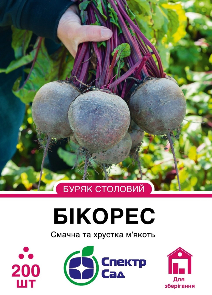 Столовий буряк Бікорес, 200 шт