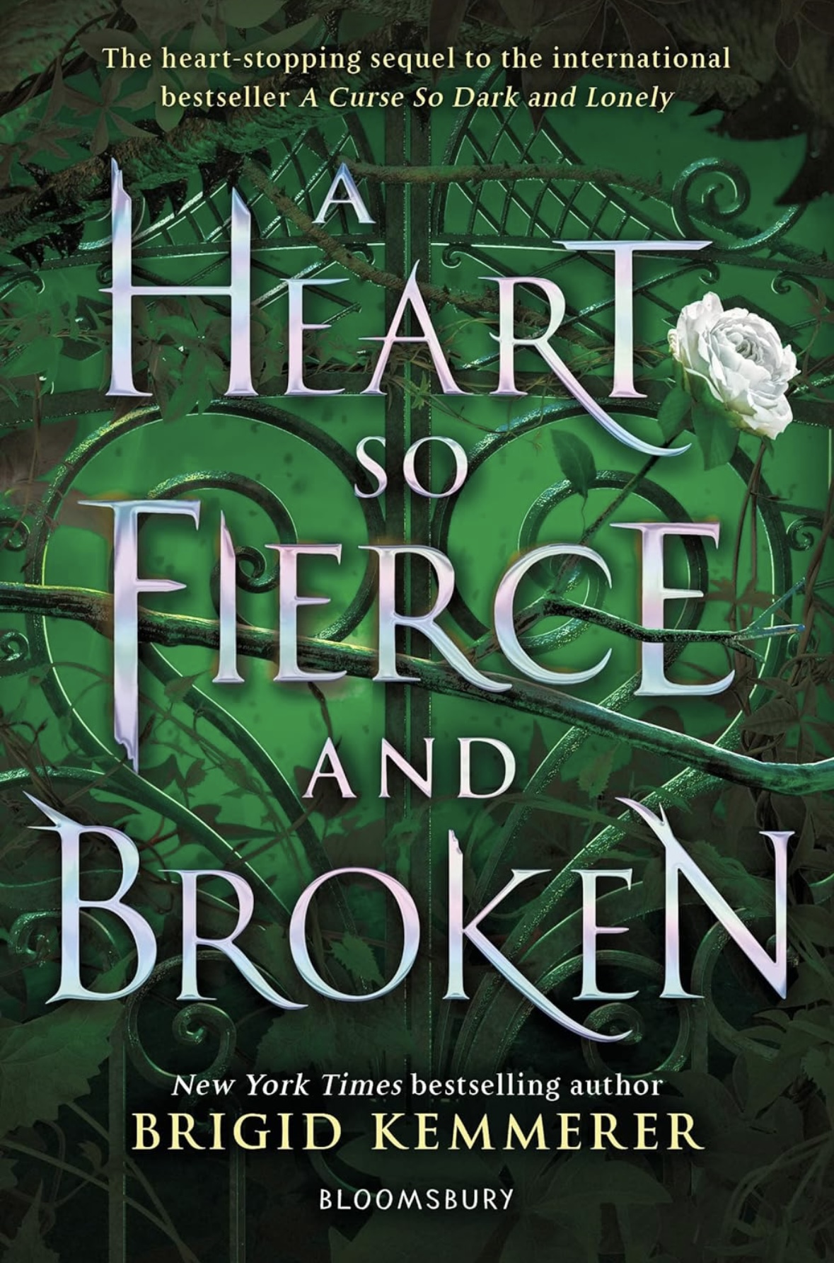 A Heart So Fierce and Broken Brigid Kemmerer book 2