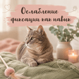 noname