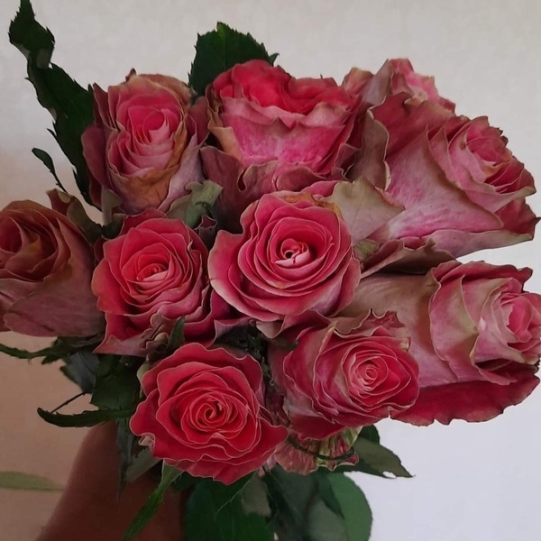 Японська казка — Japanese Tale