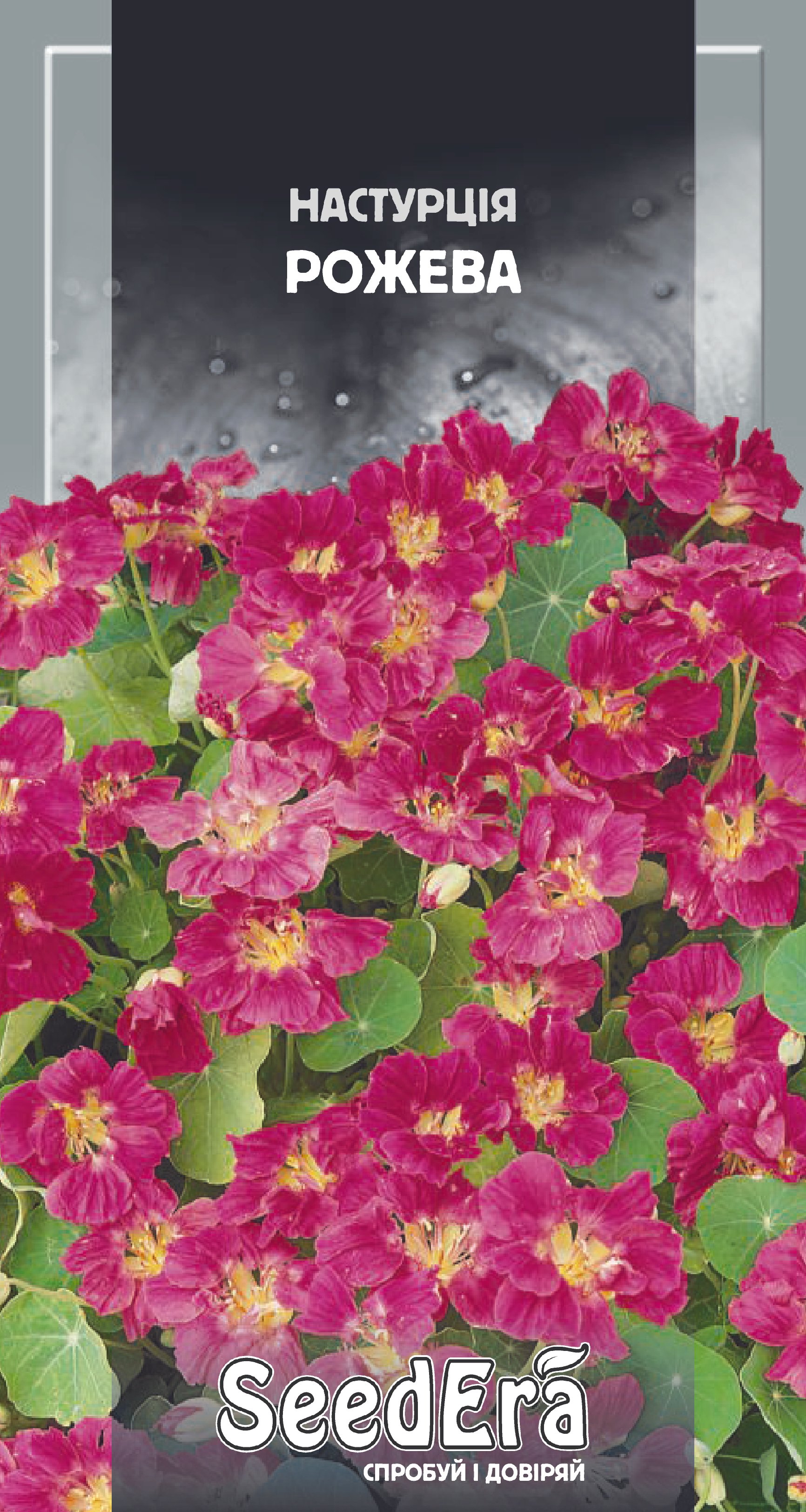 Hасіння Квіти Настурція культурна низькоросла рожева, 1,5 г