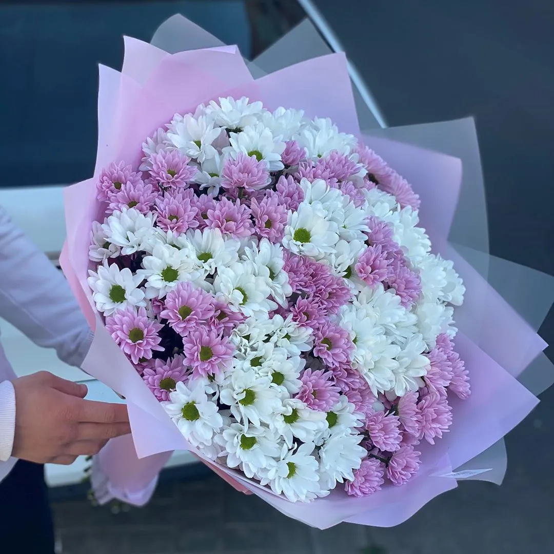 Букет з 25 білих та рожевих хризантем Ромашка