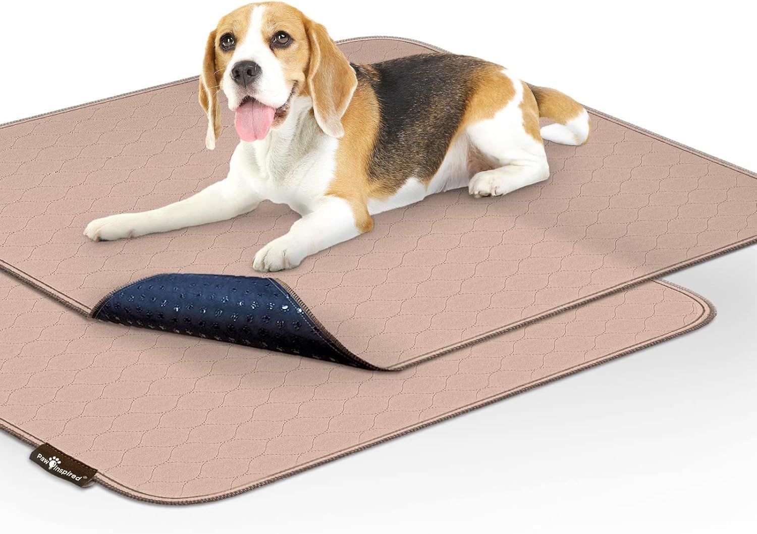 Paw Inspired Washable Pee Pads for Dogs (2 Pack)