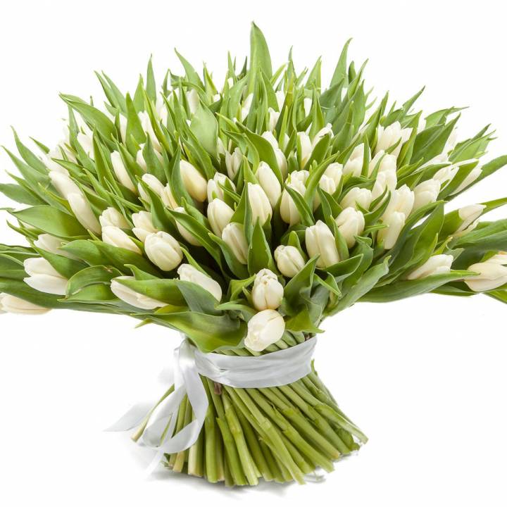 Величезний букет з 151 білого тюльпана