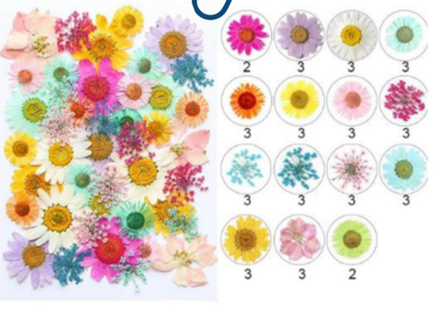 Mix Pressed Flowers ( 43 Flowers )