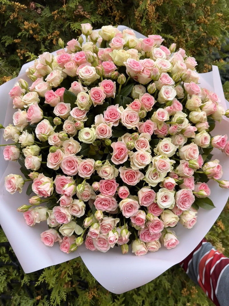 111 гілкових троянд "Гуд Муд"