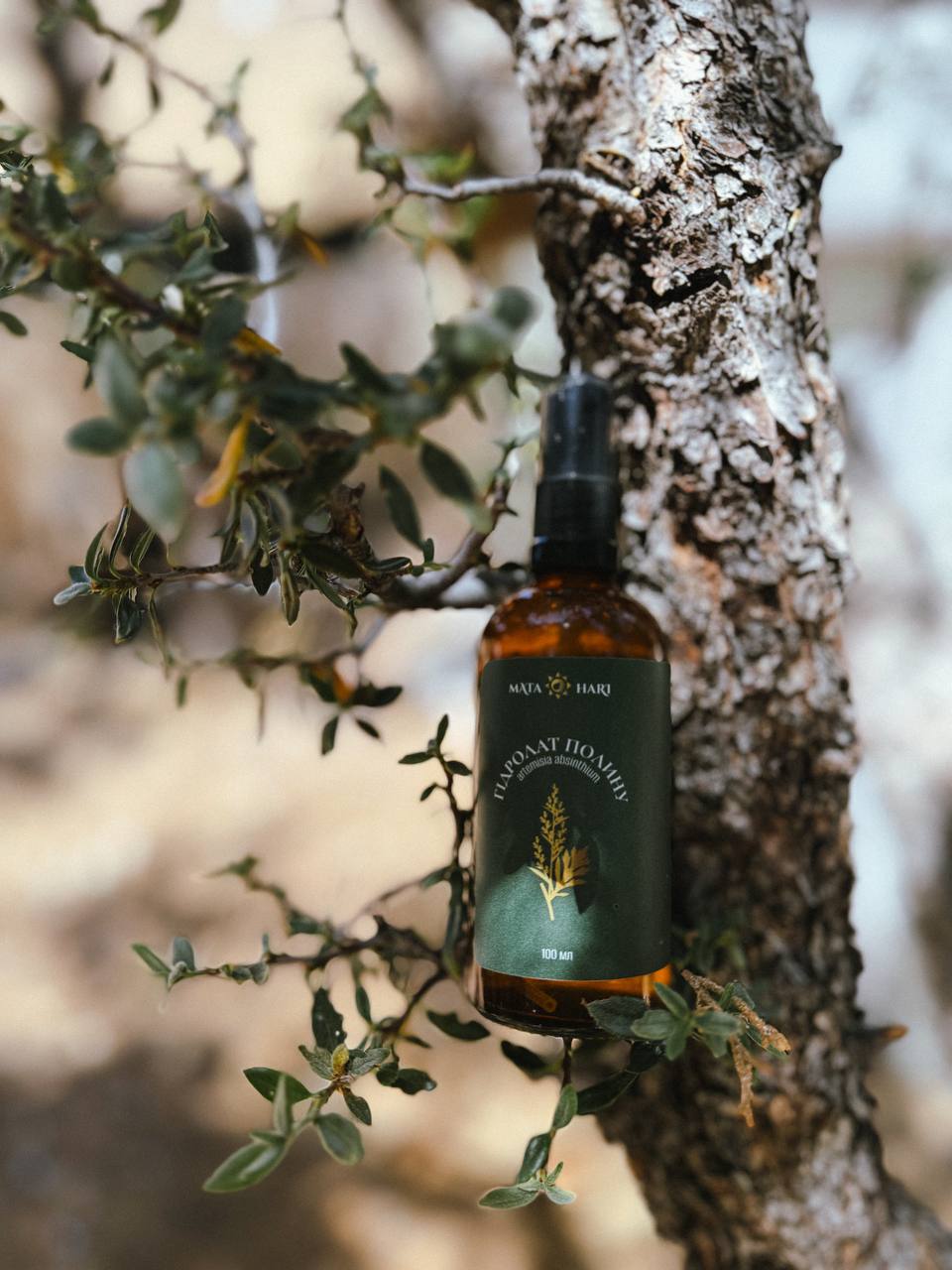 ГІДРОЛАТ ПОЛИНУ