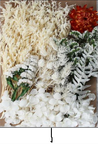 WHITE DRY FLOWER