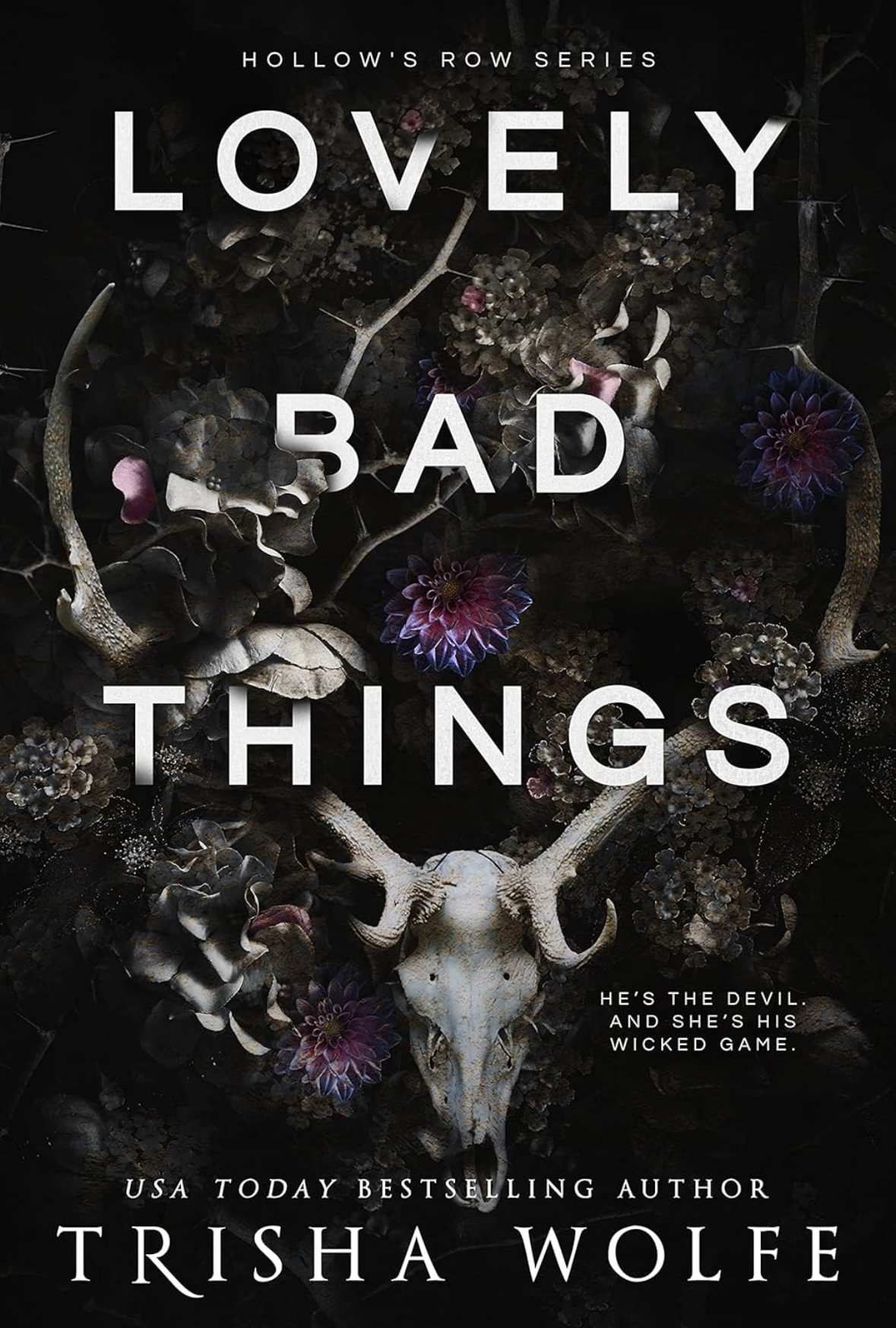 Lovely Bad Things Trisha Wolfe book 1