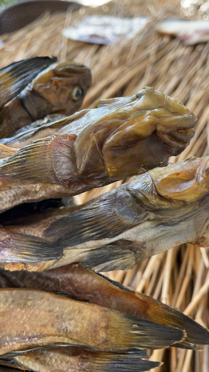 Бичок Балтійський