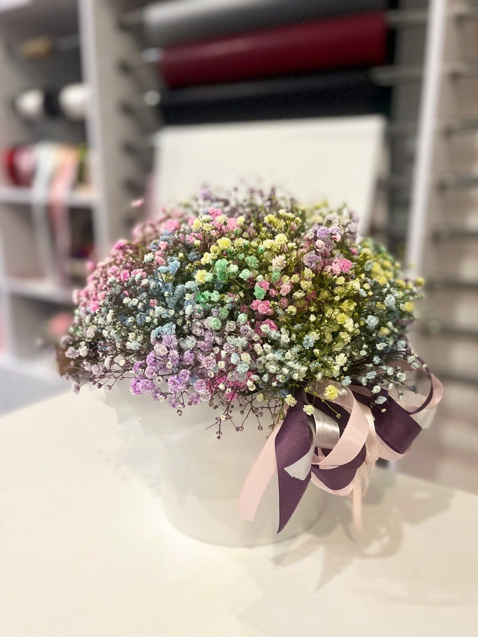 Rainbow Dream 