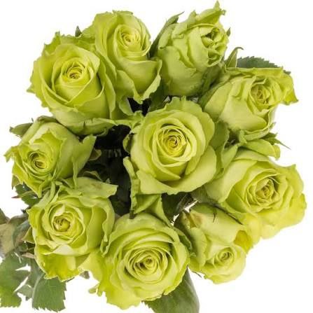 Грін Дженерейшн (Green Generation)