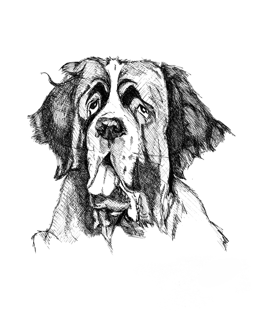 St Bernard