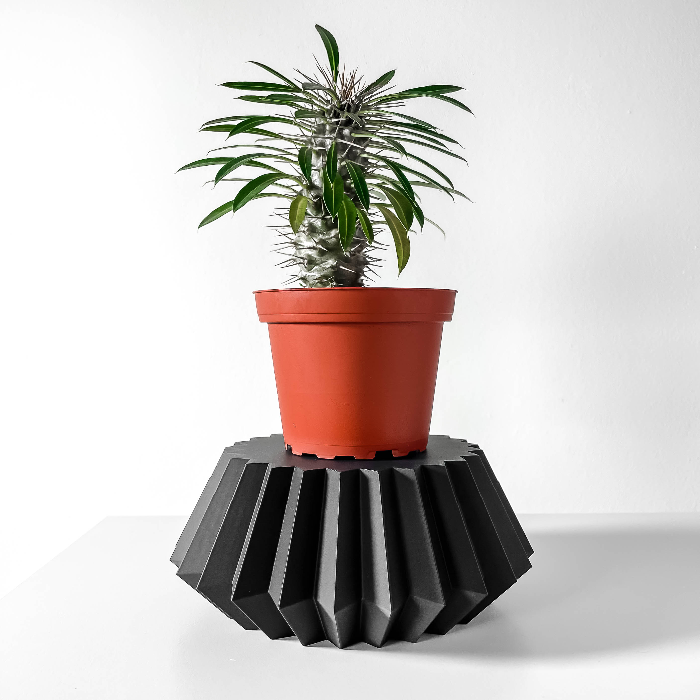 Ranio – Geometric 3D Printed Display Stand