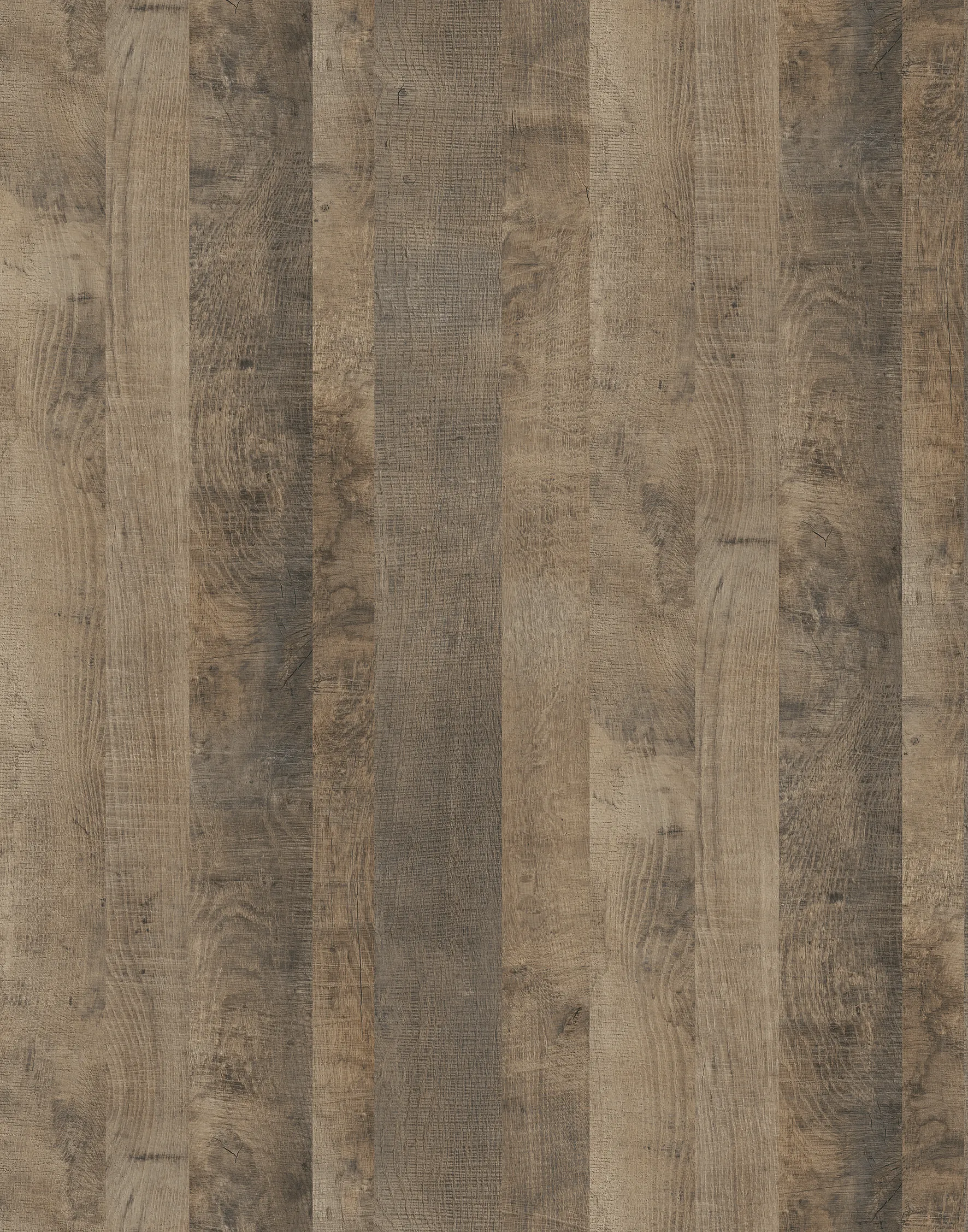 Дуб Грандж Піщаний