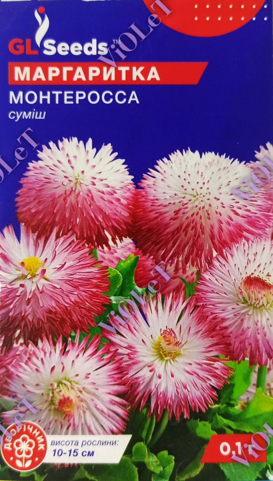 Маргаритка Монтеросса суміш, 0,1 г GL Seeds