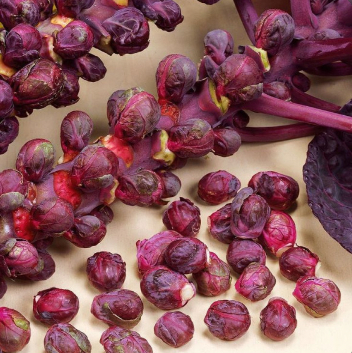 Капуста брюсельська червона