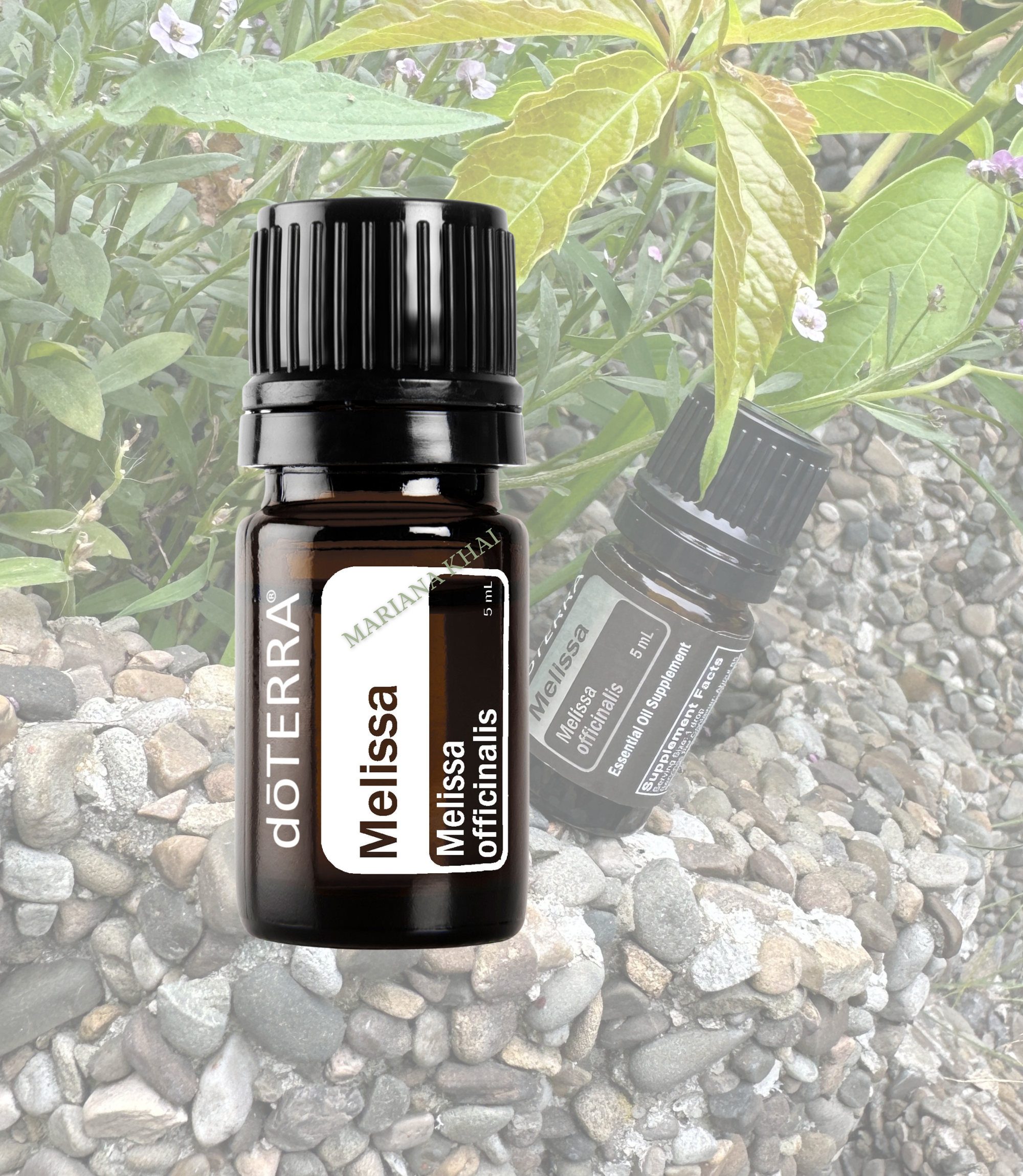 Ефірна олія doTERRA Melissa