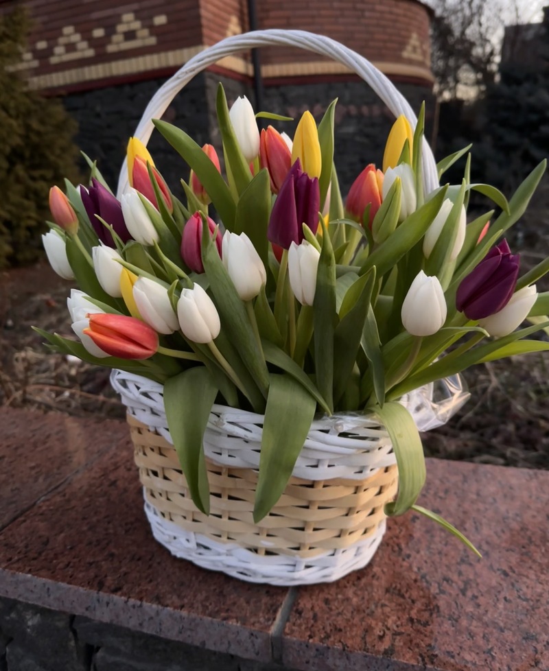 Композиція в корзині з 51 різнокольорового тюльпану