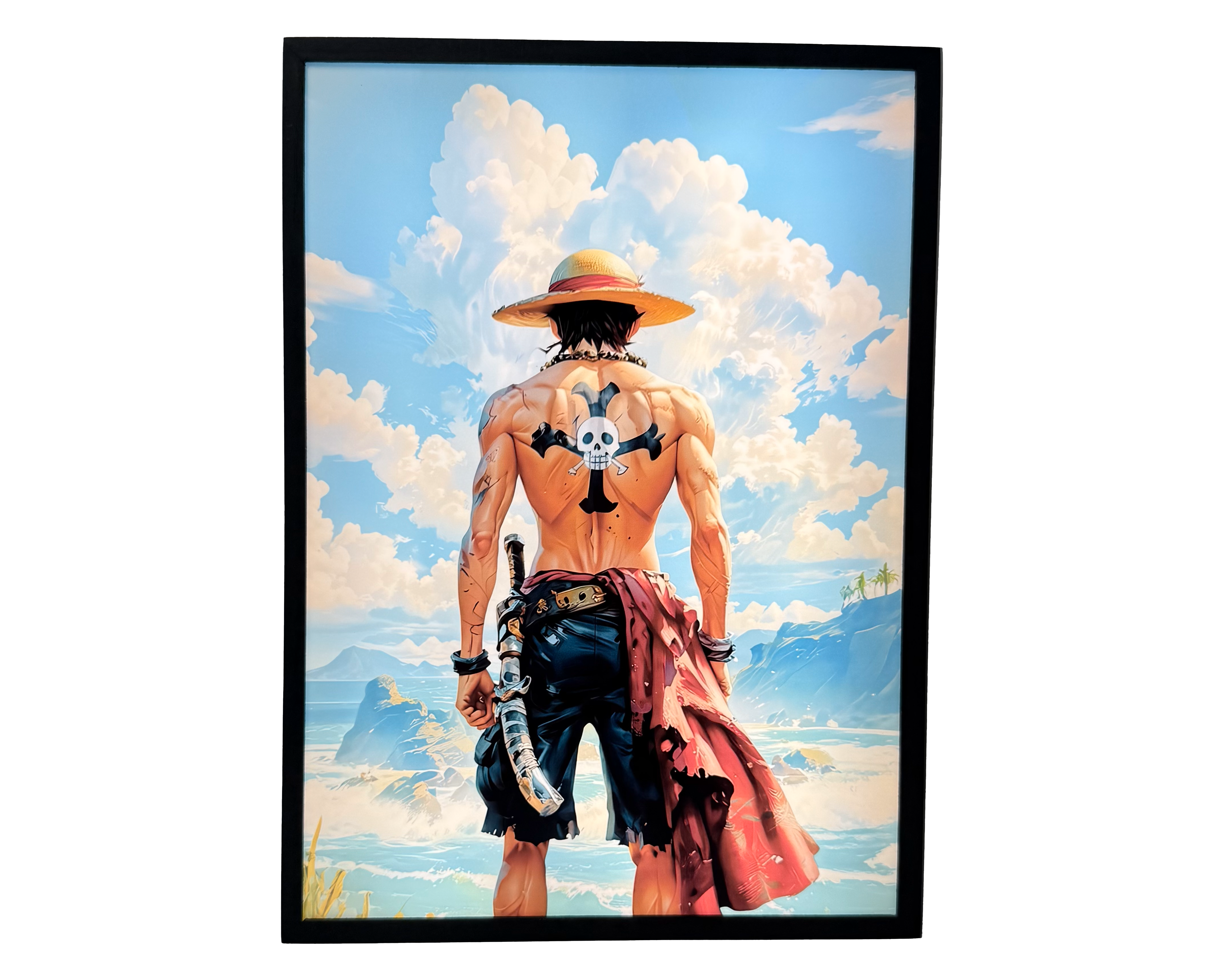 One Piece: Символ волі