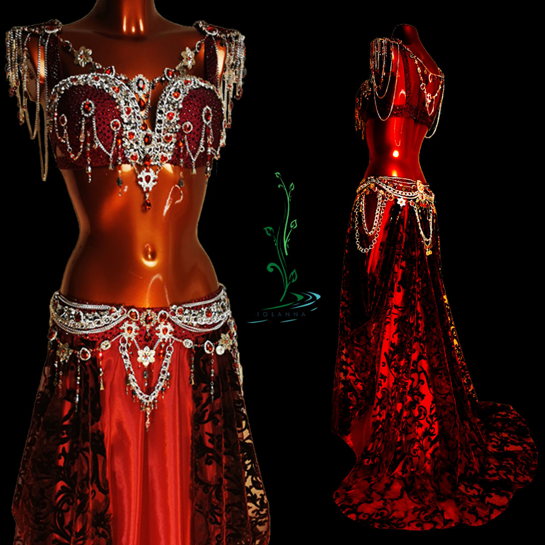 Wine professional belly dance costume