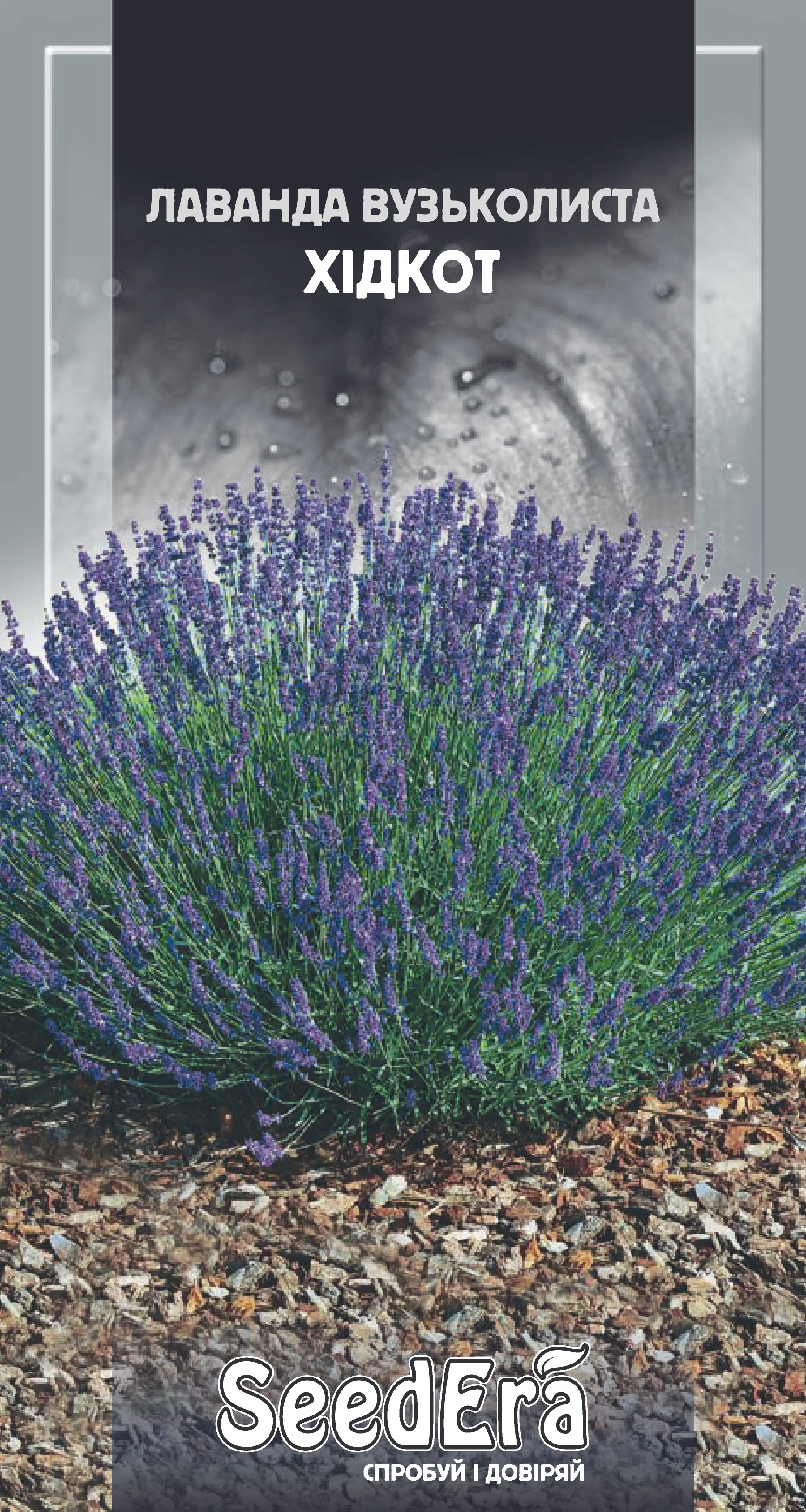 Насіння Квіти Лаванда Англійська вузькол. Хідкот, 0,1 г (тем.-синя)