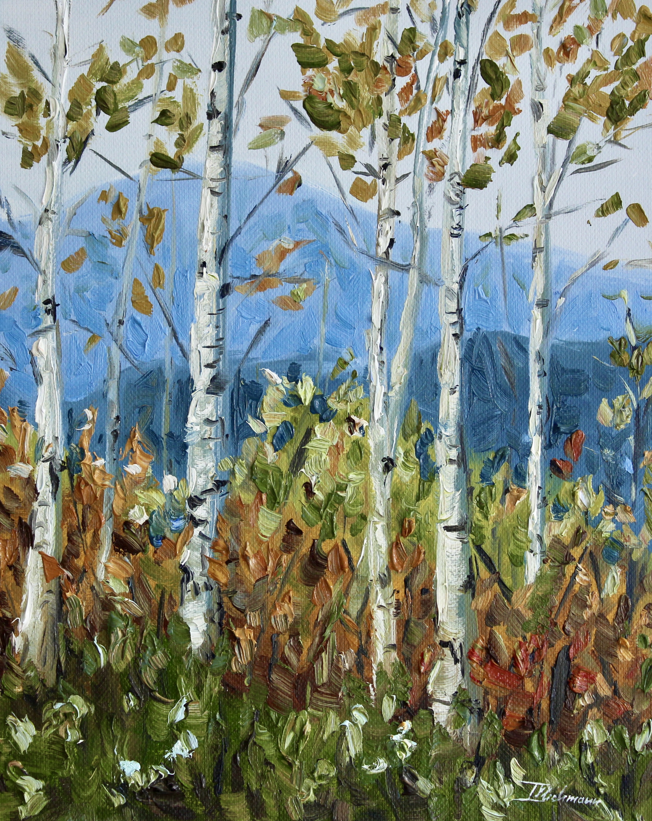 Birch Trees