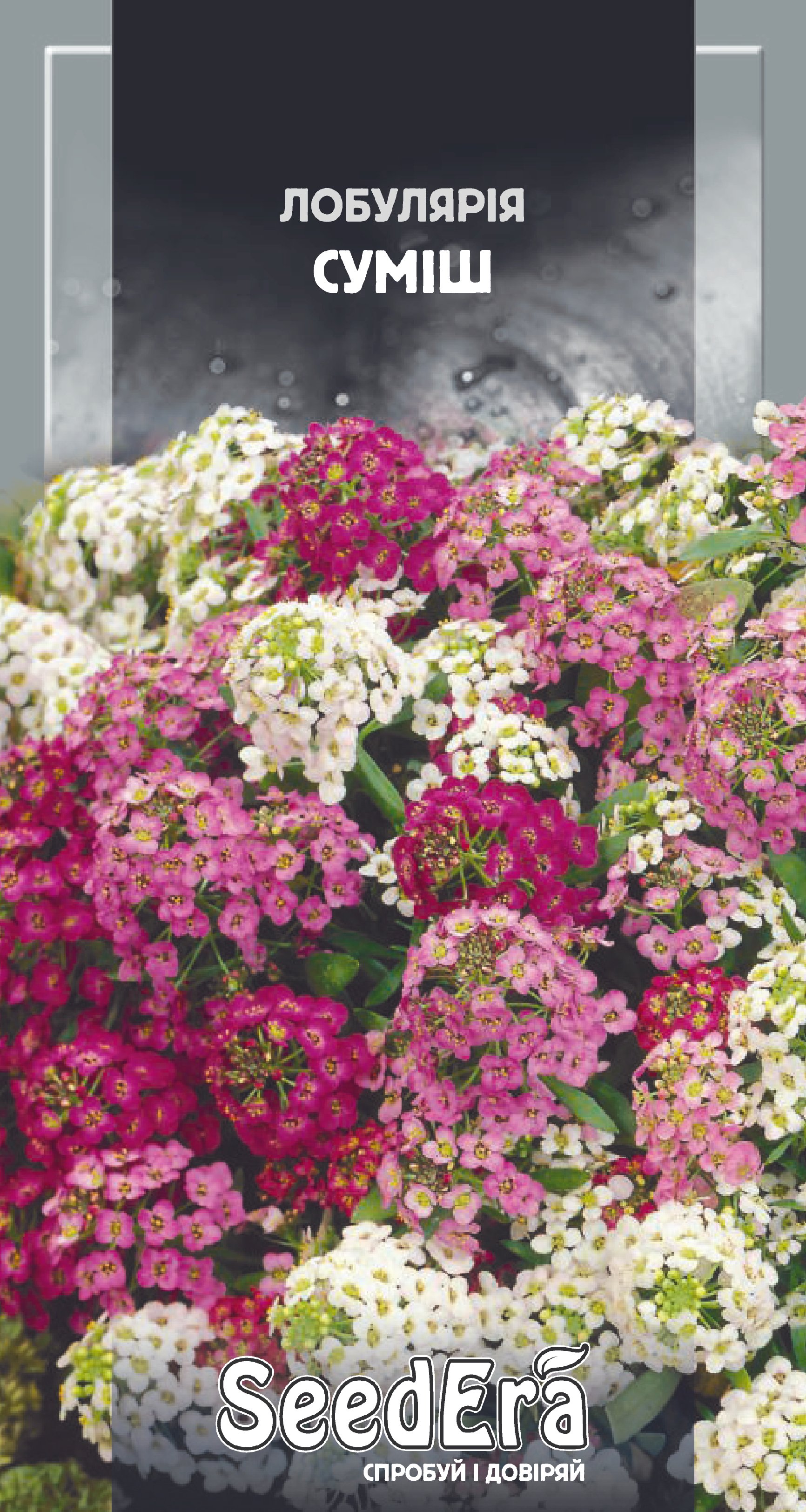 Насіння Квіти Лобулярія суміш, 0,2