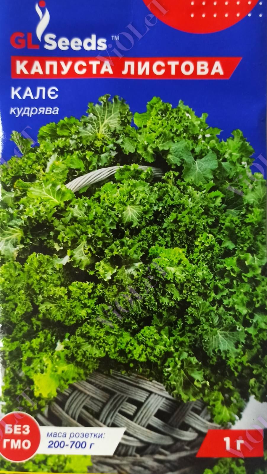 Капуста Листова Калє кудрява, 1 г GL Seeds