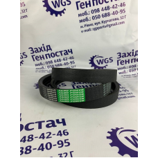 Ремінь поліклиновий AP1001583 / 1004502 [Optibelt]