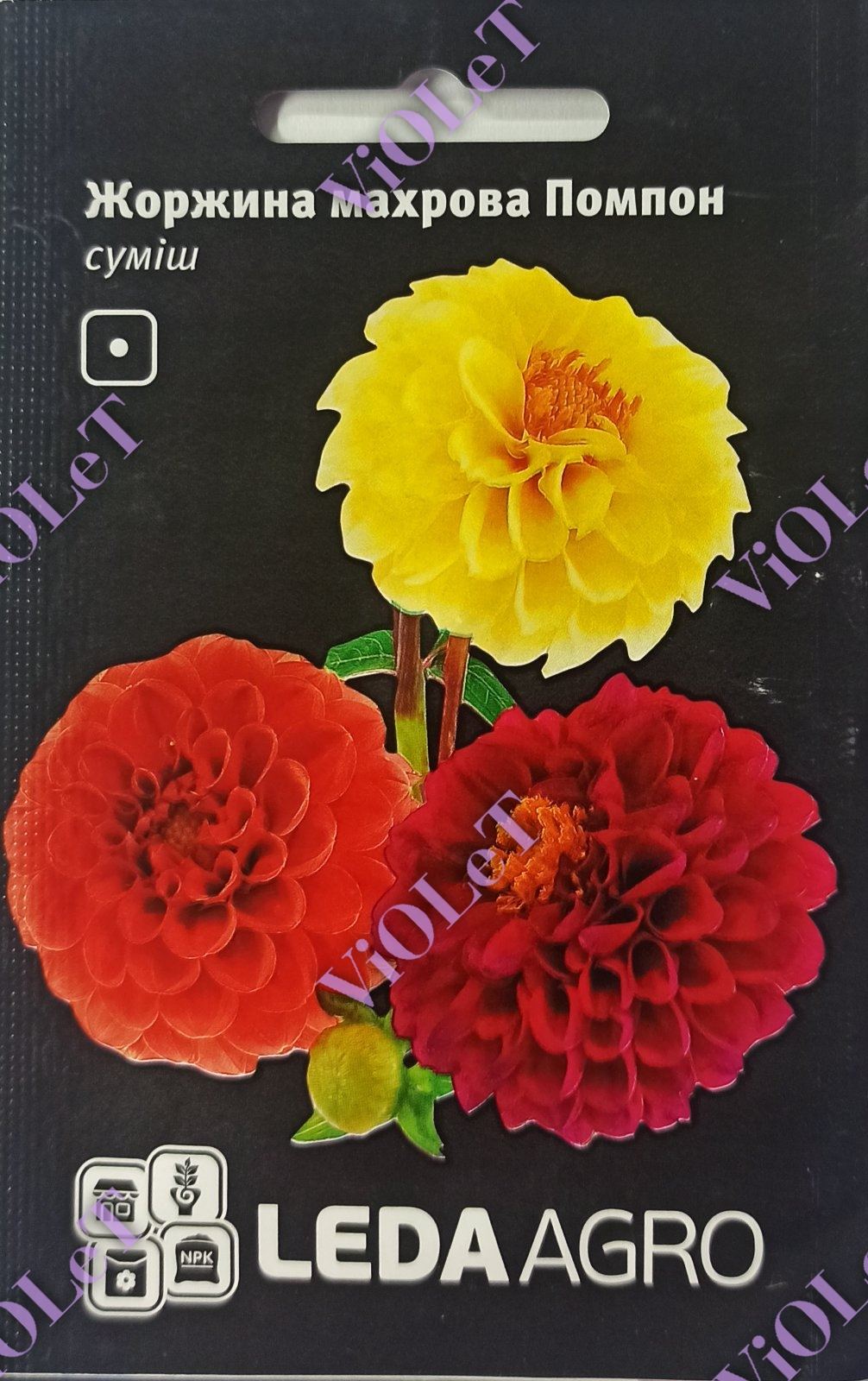 Жоржина махрова Помпон, 0,2 г, LedaAgro