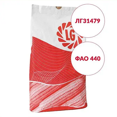 Насіння кукурудзи LG 31479 Limagrain ФАО 440 Кукурудза високої врожайності