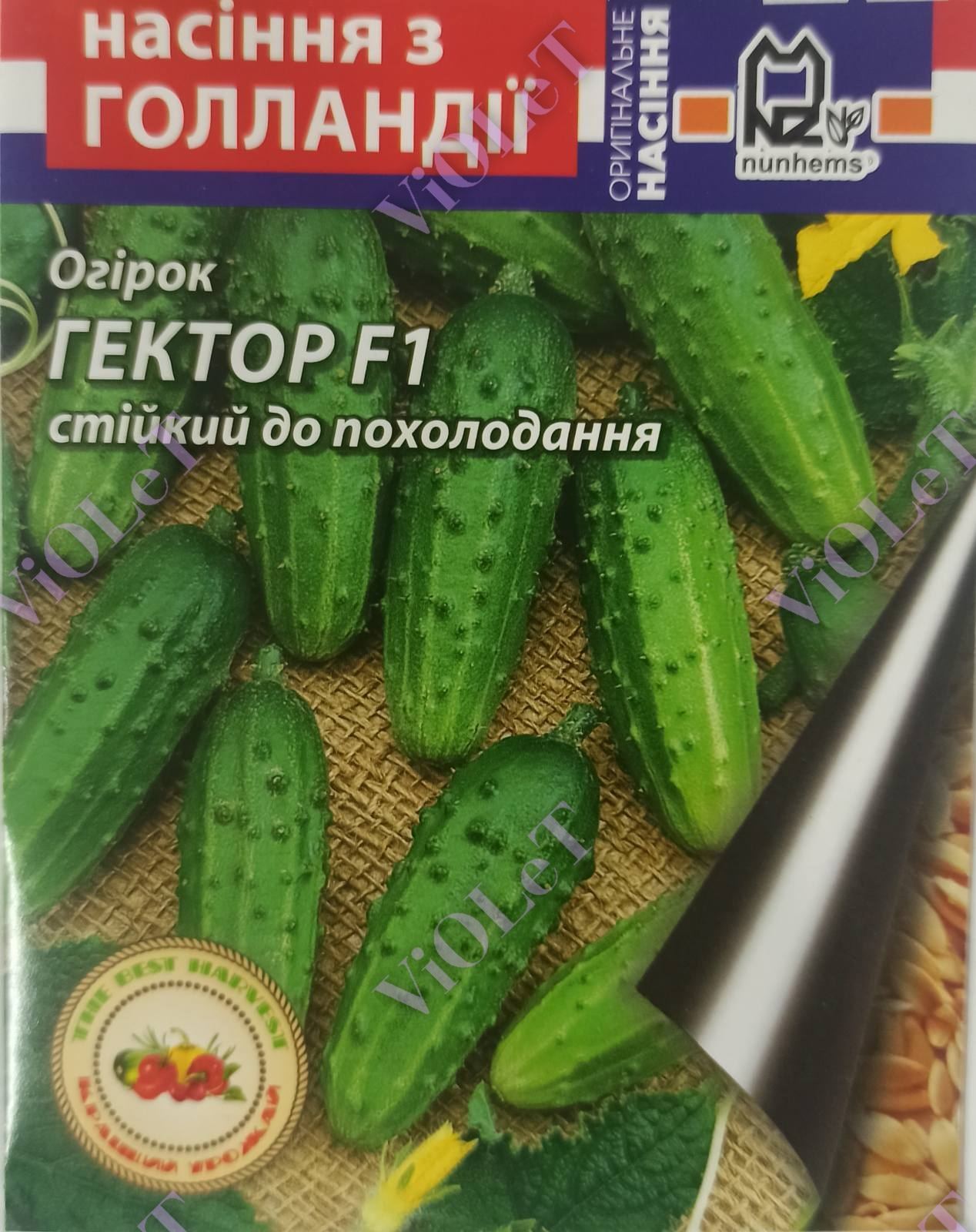 Огірок Гектор F1, 50 шт. Nunhems Нідерланди