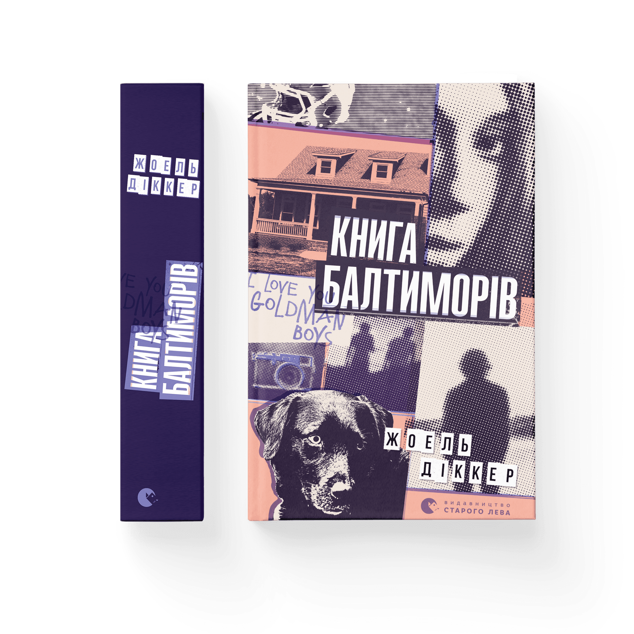 Книга Балтиморів. Жоель Діккер