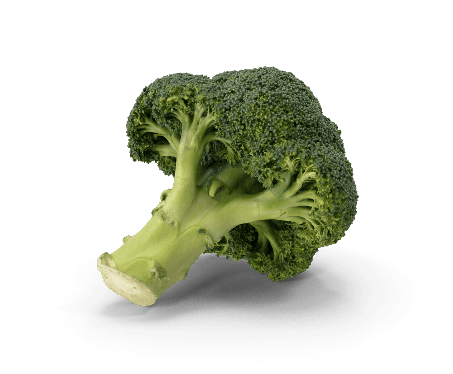 Broccoli