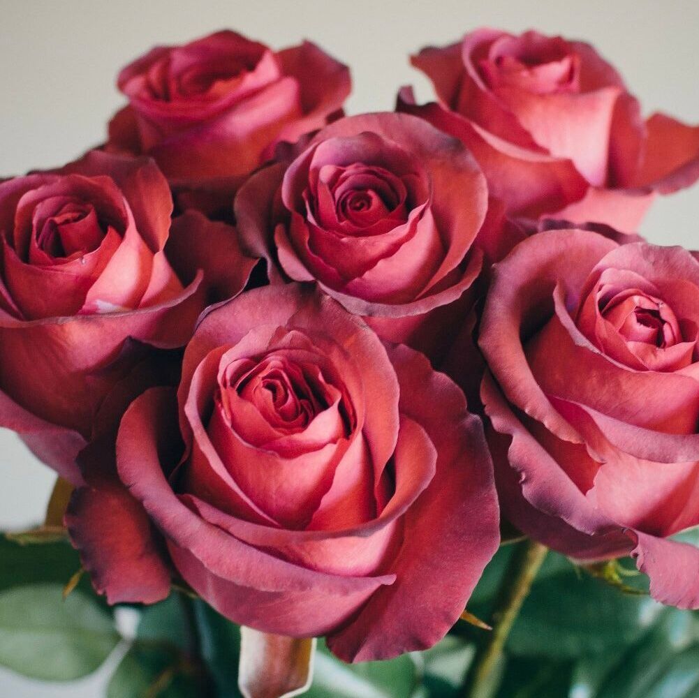 Matilda — Матильда