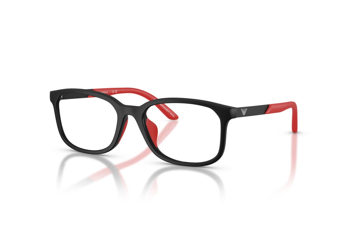 EMPORIO ARMANI EK 3008U 5009 49