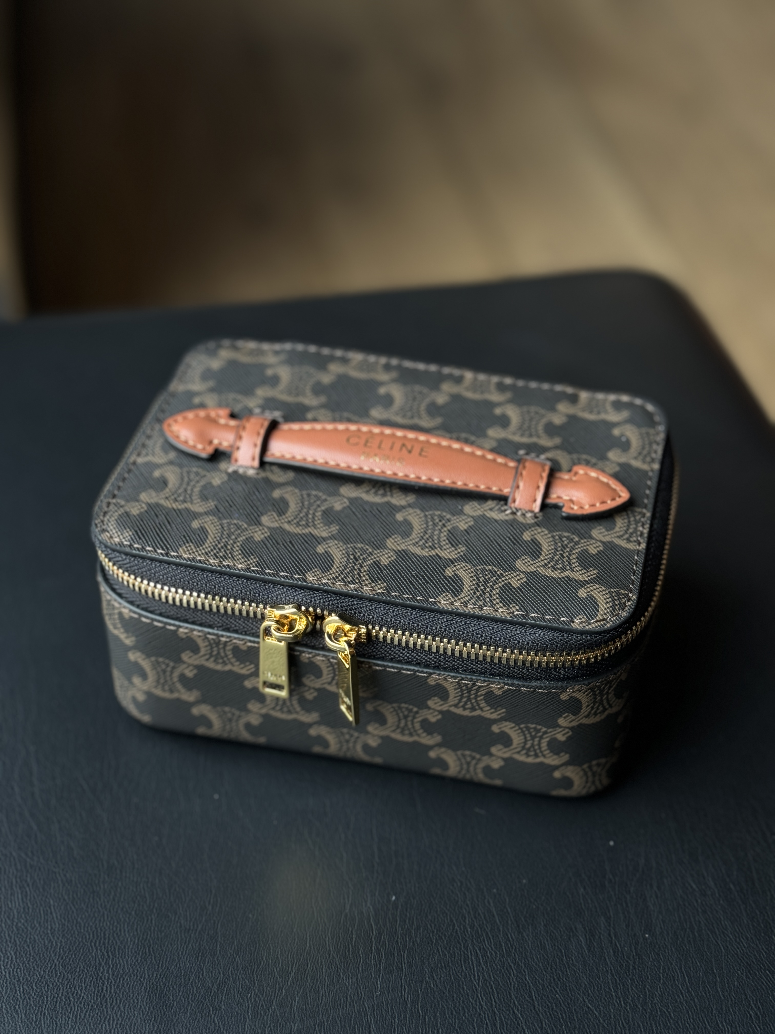 Celine Top Handle Small Toiletry Case in Triomphe Canvas and Calfskin
