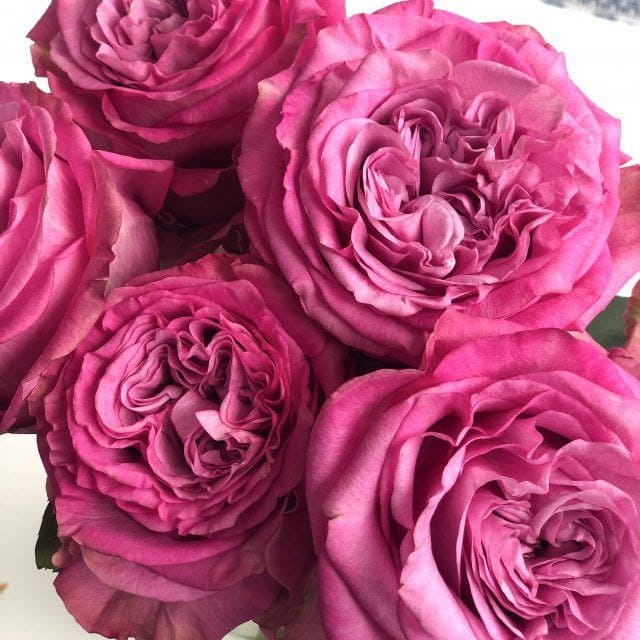 Квінс Краун (Queens Crown)