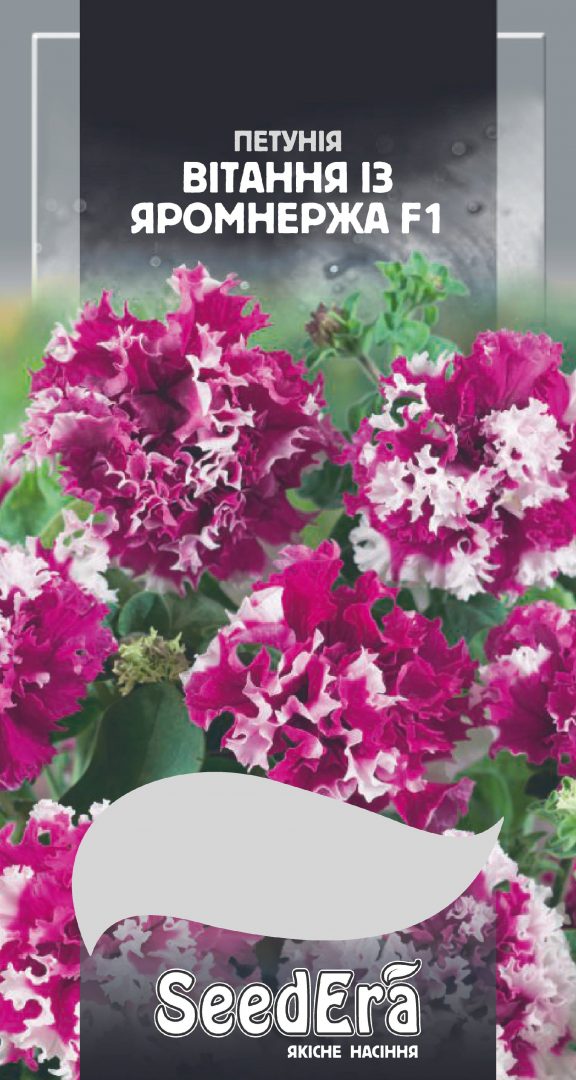 Насіння Квіти Петунія бахромчаста великоквіткова Вітання із Яромнержа F1, 10 шт