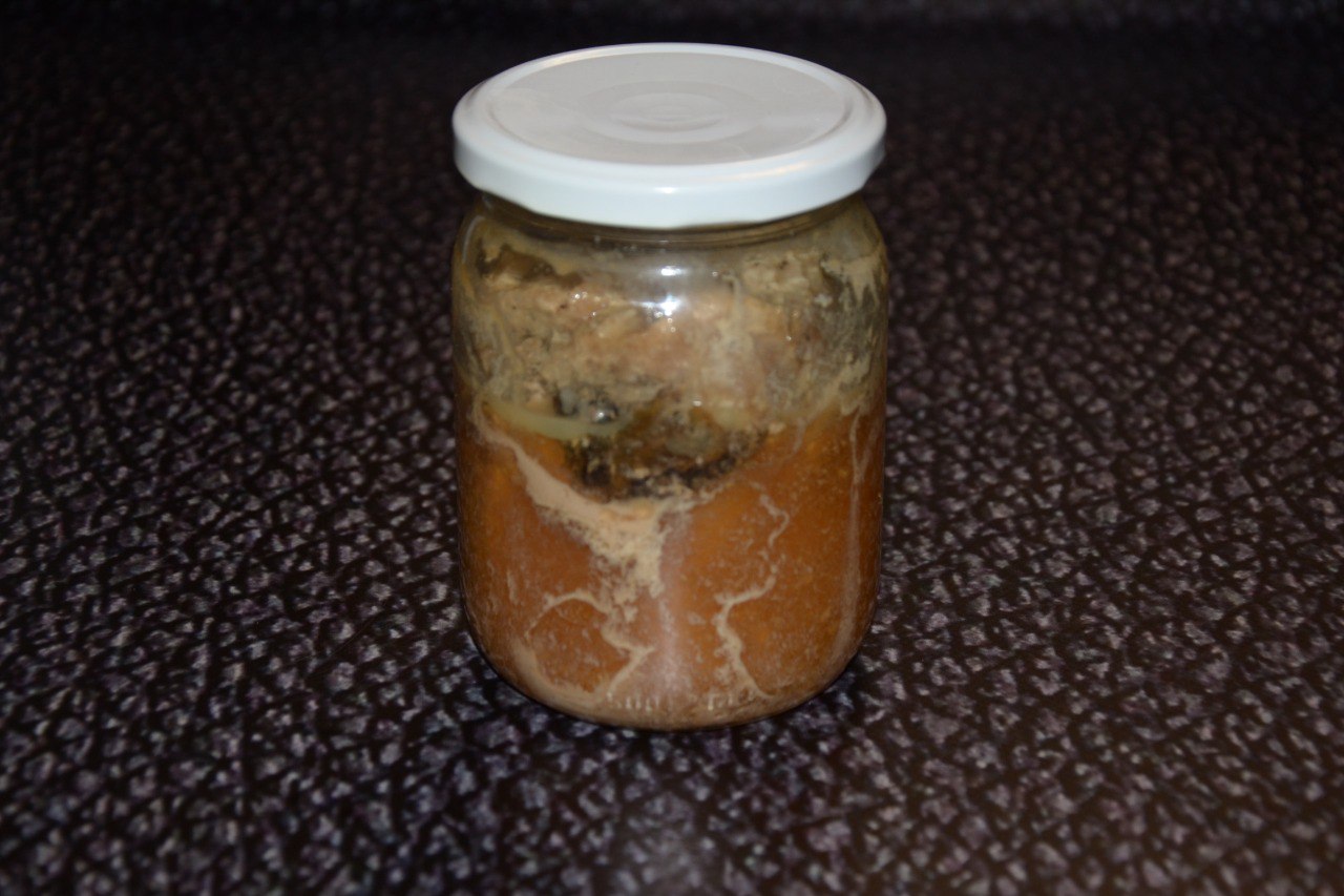 Балик з курагою та чорносливом